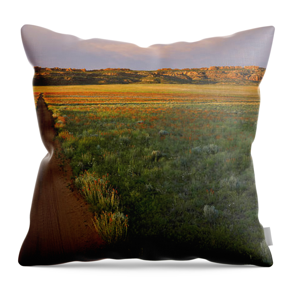 00175239 Throw Pillow featuring the photograph Globemallow Clusters And Dirt Road Salt by Tim Fitzharris