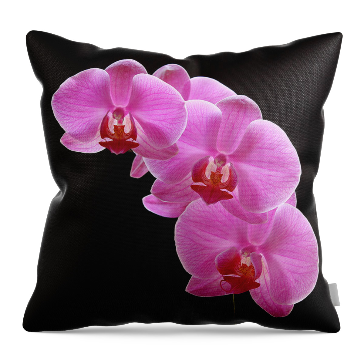Orchid Throw Pillow featuring the photograph Glorious Pink Orchids by Juergen Roth
