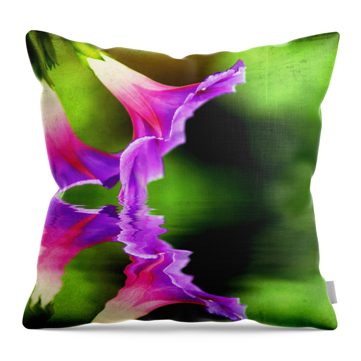  Bloom Throw Pillow featuring the photograph Glory Reflection by Darren Fisher