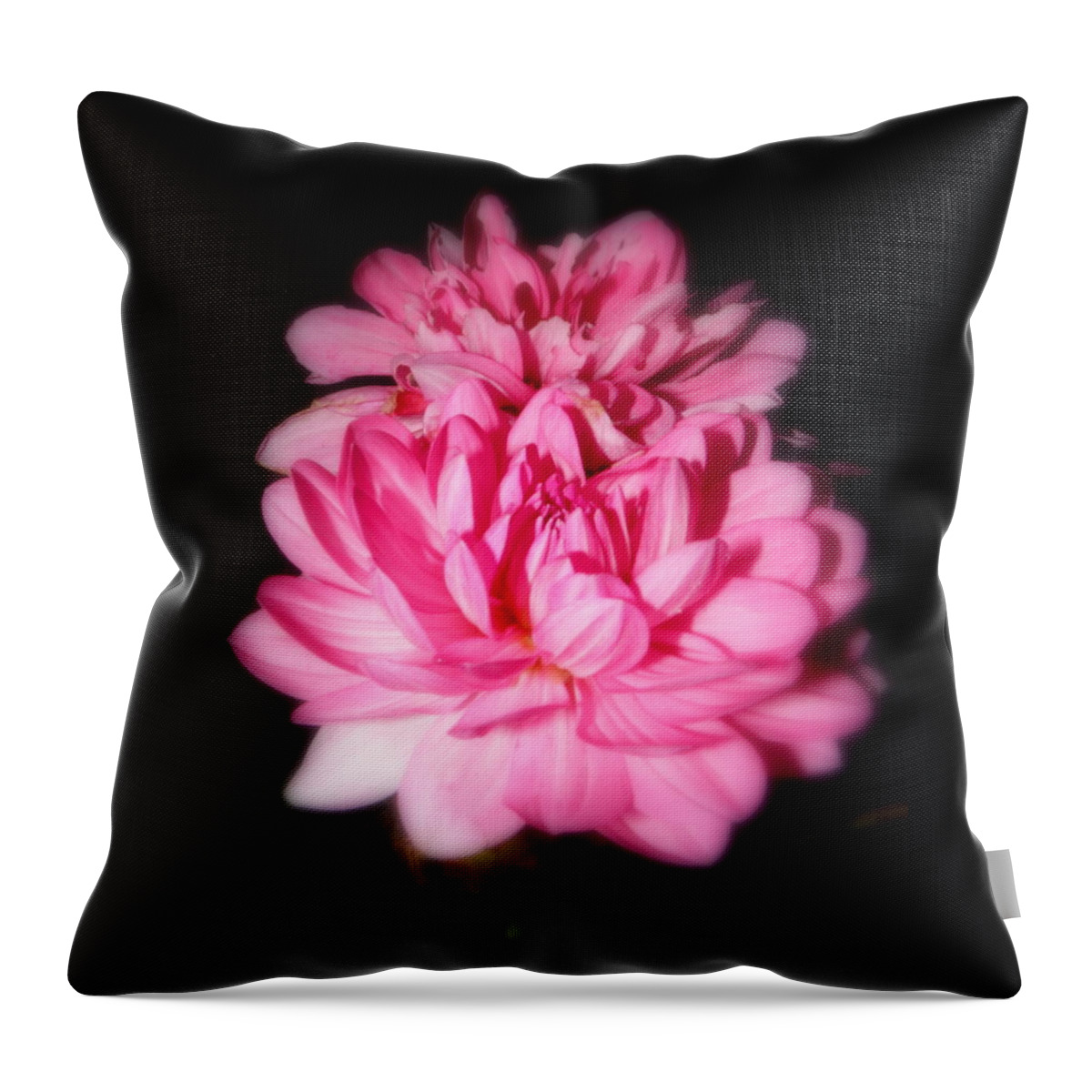 Dahlia Throw Pillow featuring the photograph Glowing Dahlias In The Night by Kim Galluzzo