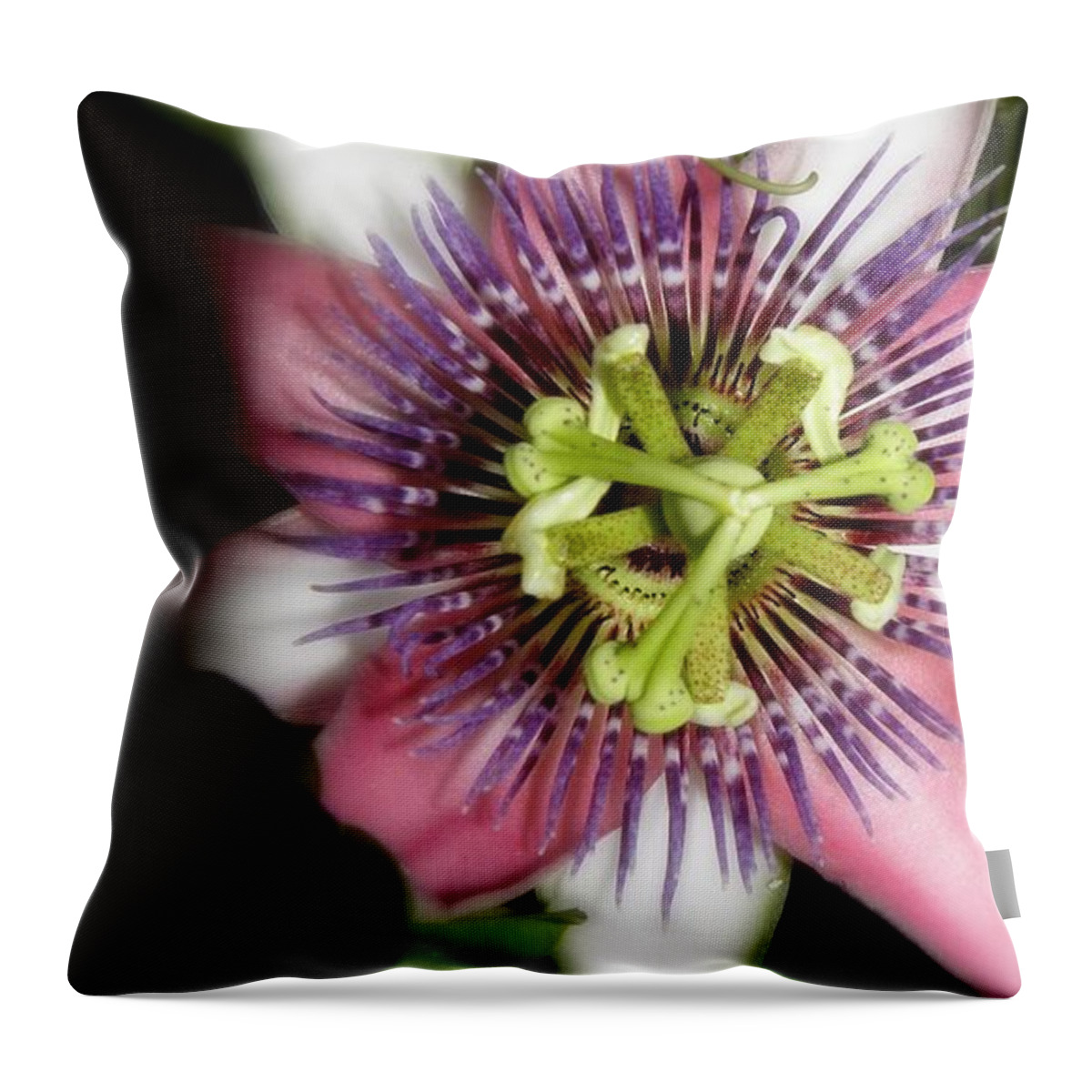 Passion Flower Throw Pillow featuring the photograph Glowing In Passion by Kim Galluzzo