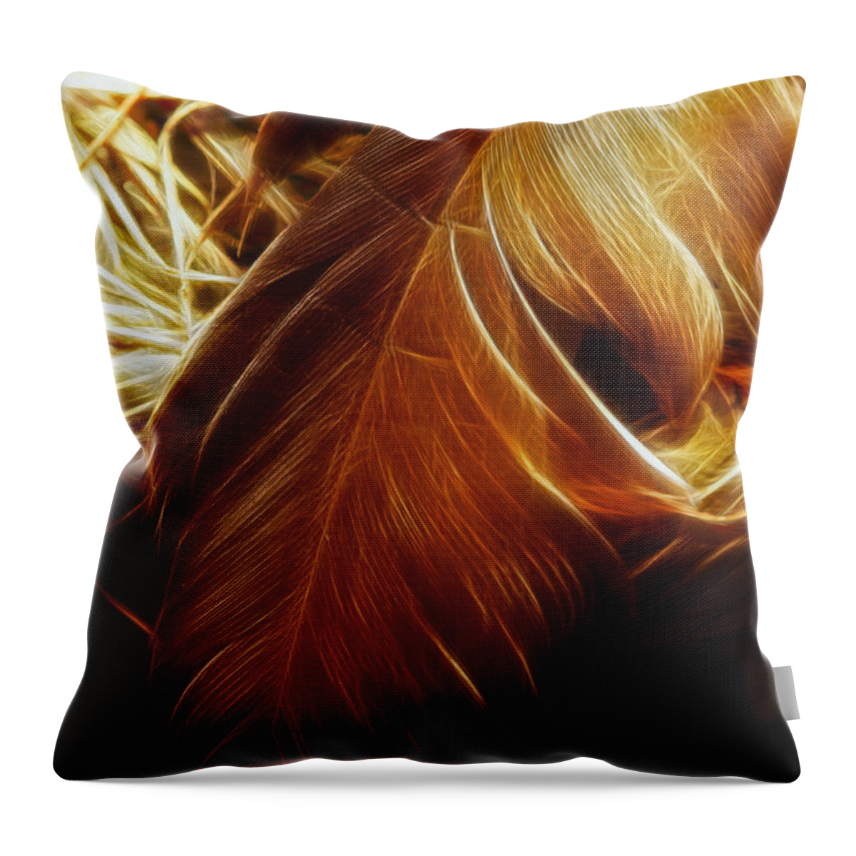 Birds Nest Throw Pillow featuring the photograph Glowing Quill by Linda Tiepelman
