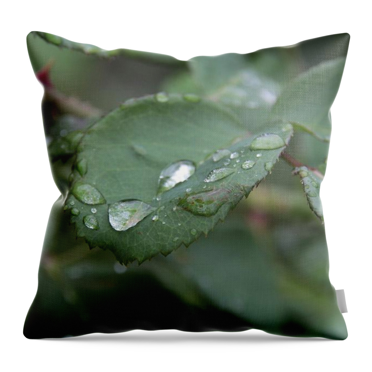 Photo Throw Pillow featuring the photograph Gocce by Giovanni Marco Sassu