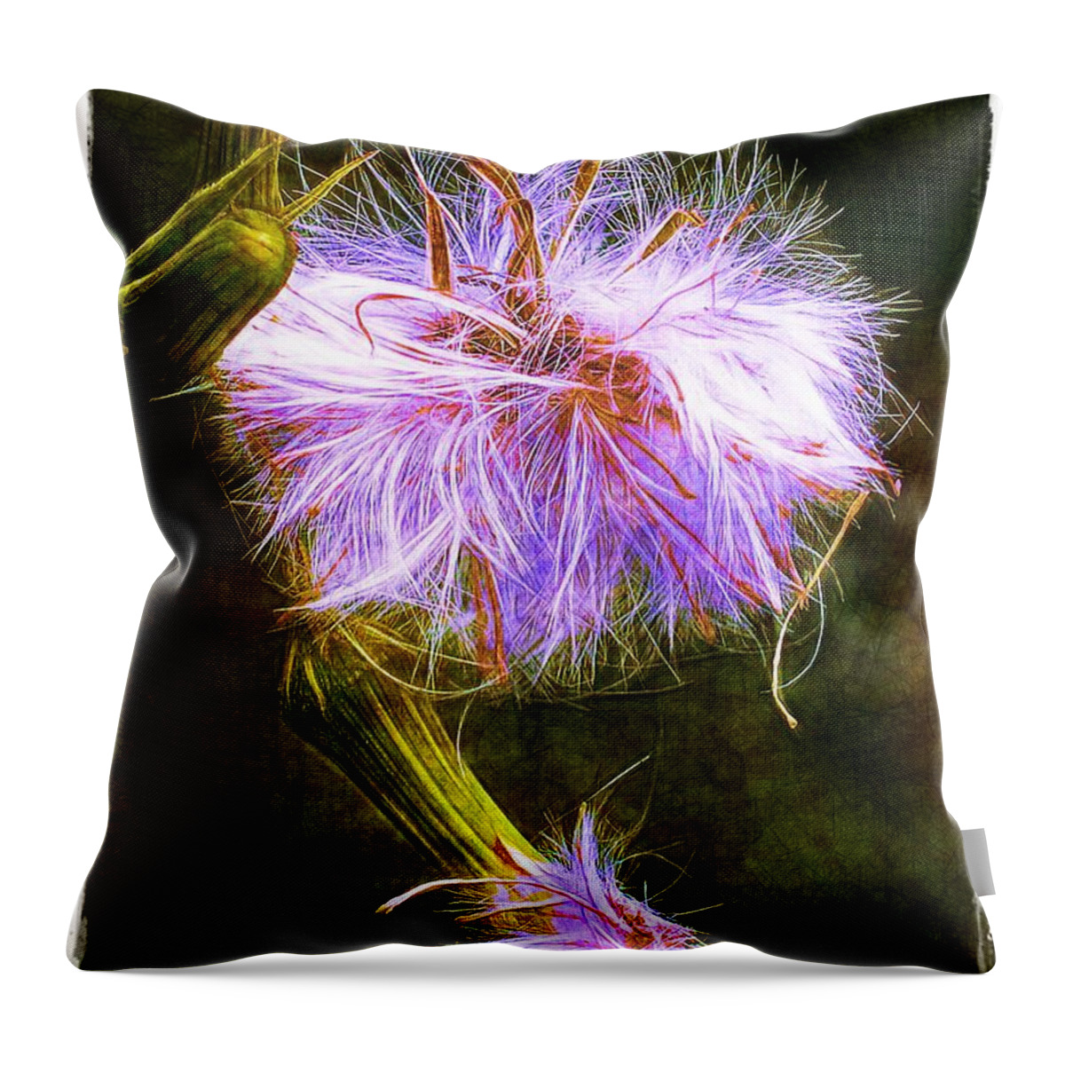 Seed Throw Pillow featuring the photograph Going to Seed by Judi Bagwell
