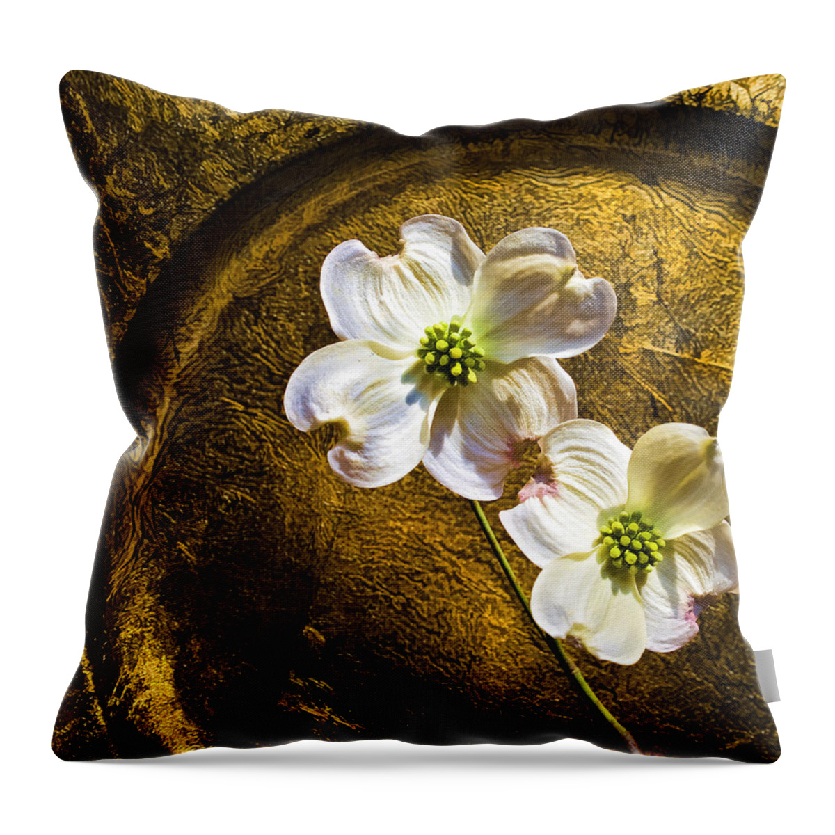 Golden Dogwood Throw Pillow featuring the photograph Golden Dogwood by Steven Richardson