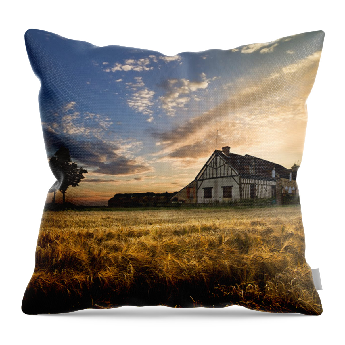 Appalachia Throw Pillow featuring the photograph Golden Evening by Debra and Dave Vanderlaan