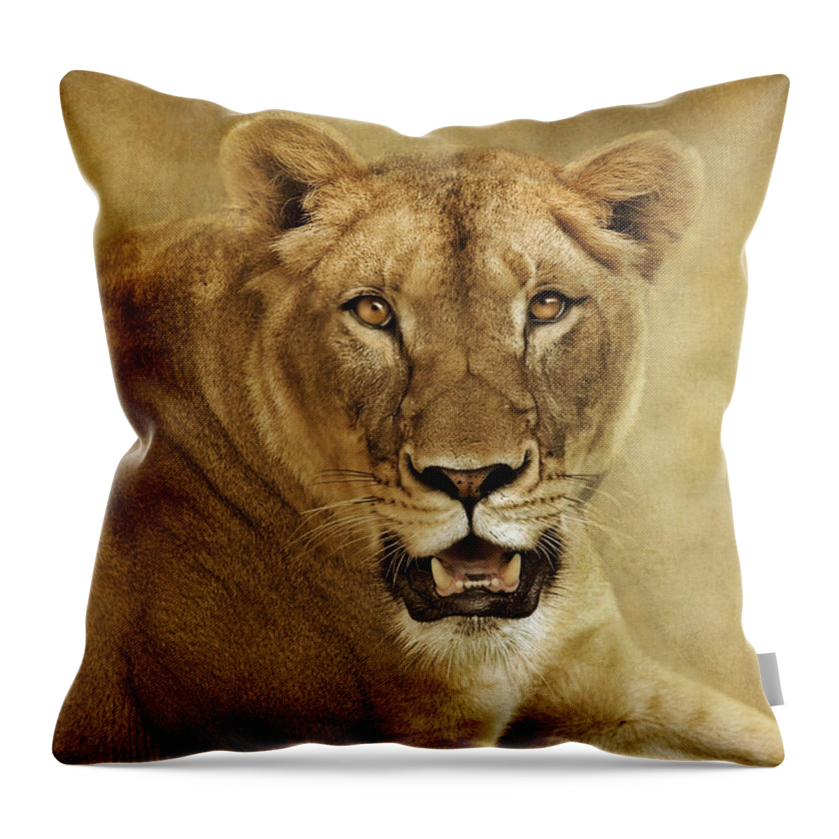 Lioness Throw Pillow featuring the photograph Golden by Pat Abbott
