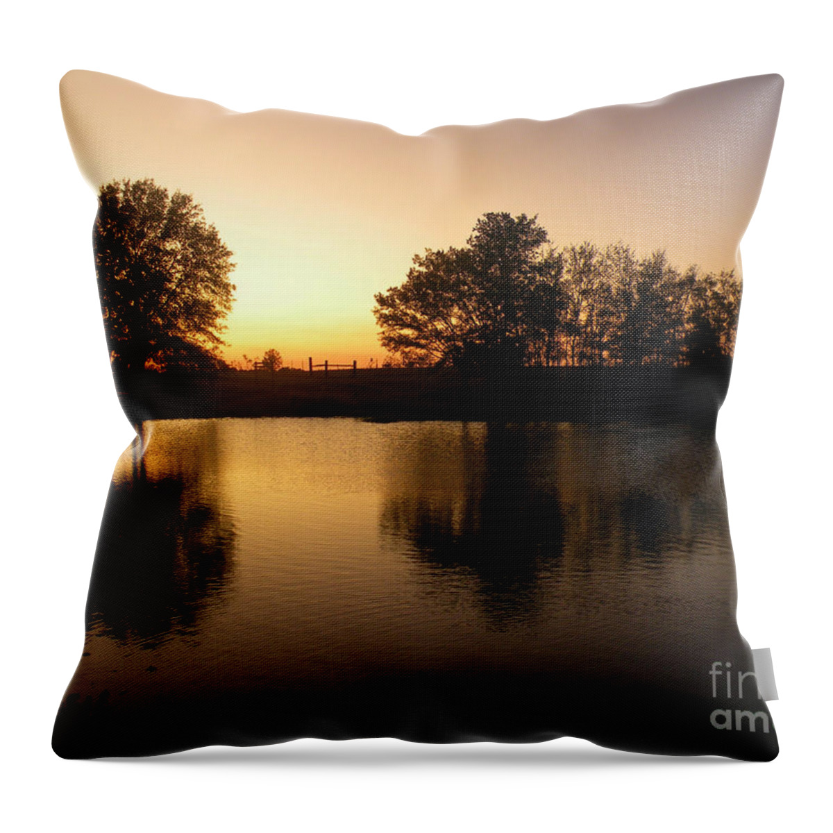Mineola Nature Preserve Throw Pillow featuring the photograph Golden Sunset by Kathy White