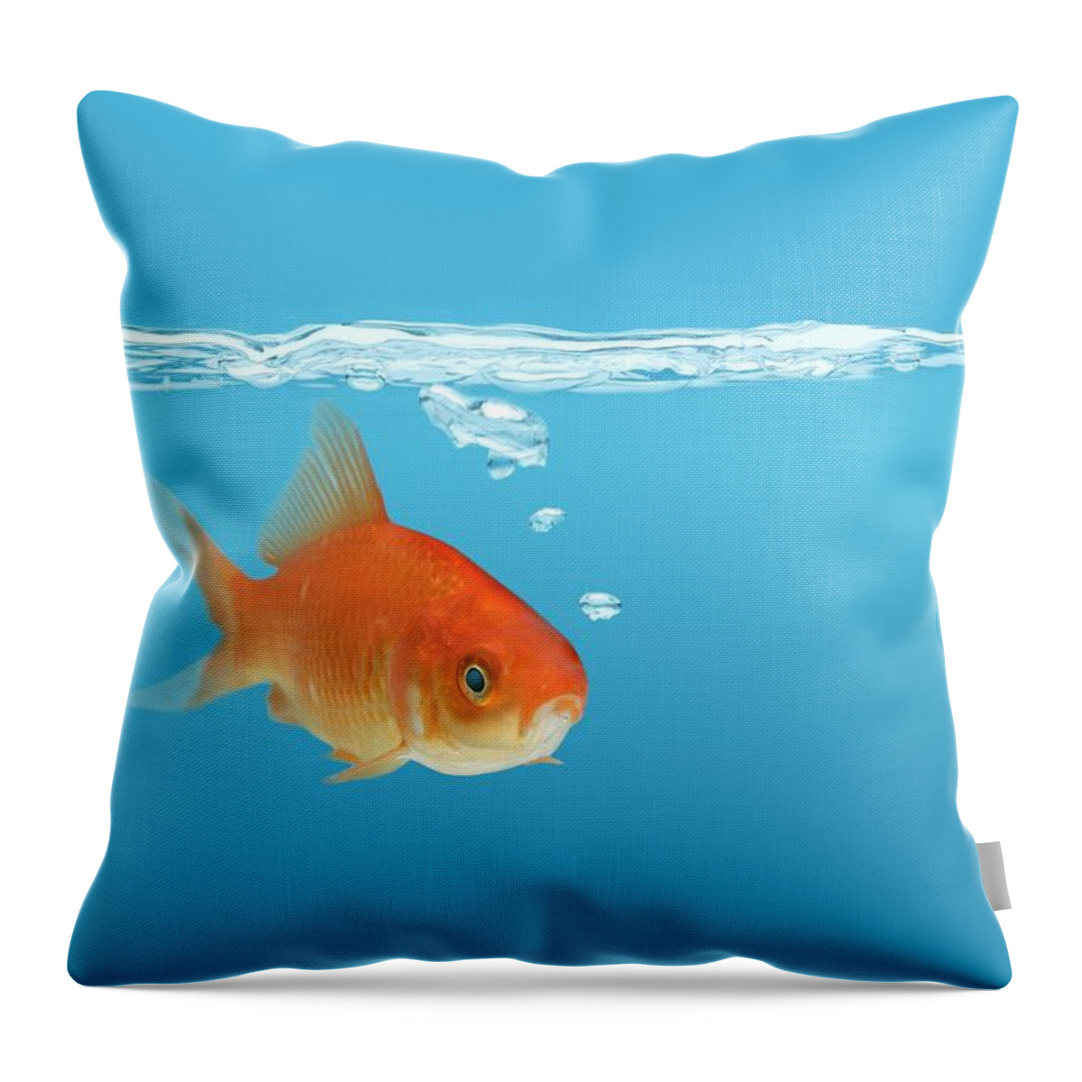 Alone Throw Pillow featuring the photograph Goldfish Carassius Auratus by Don Hammond