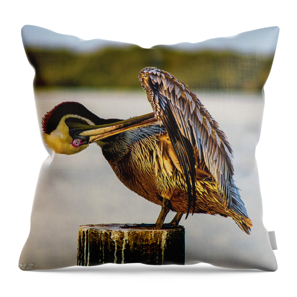 Pelicans Throw Pillow featuring the photograph Gooming Pelican ll by Shannon Harrington