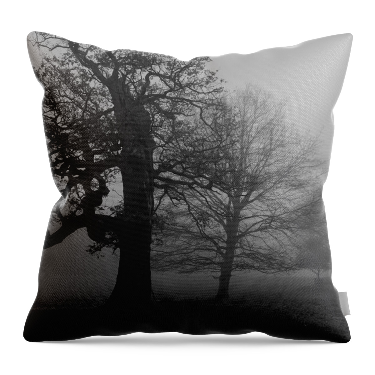 Trees Throw Pillow featuring the photograph Gradual Trees by Maj Seda