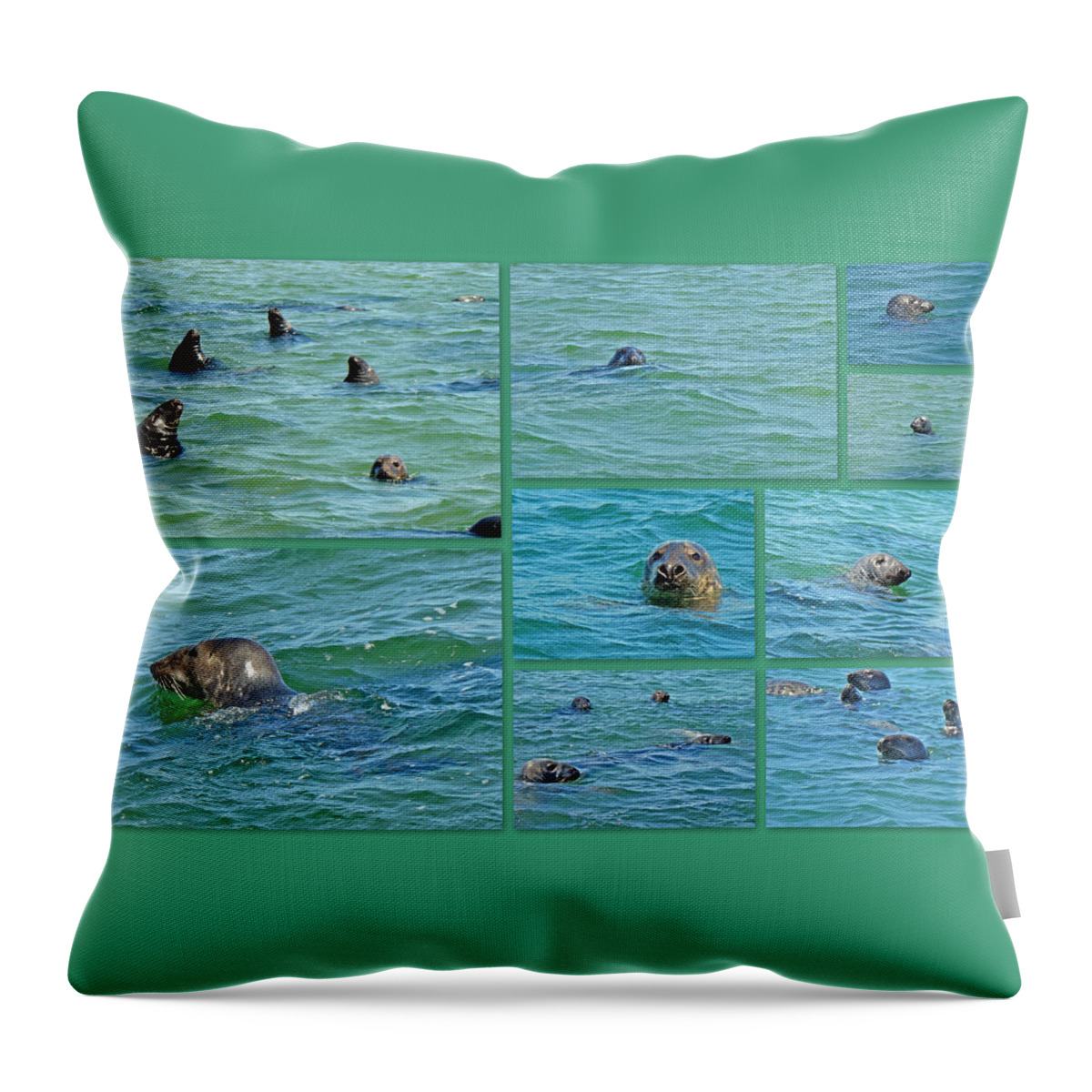 Seals Throw Pillow featuring the photograph Gray Seals at Chatham - Cape Cod by Carol Senske