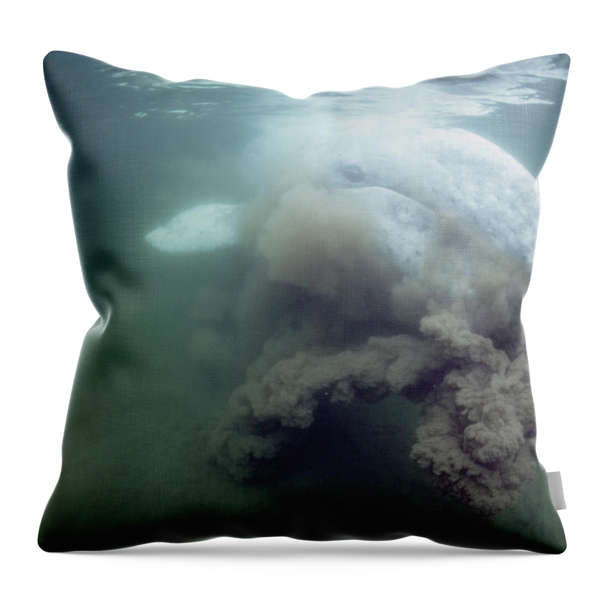 00080417 Throw Pillow featuring the photograph Gray Whale Filter Feeding Tofino by Flip Nicklin