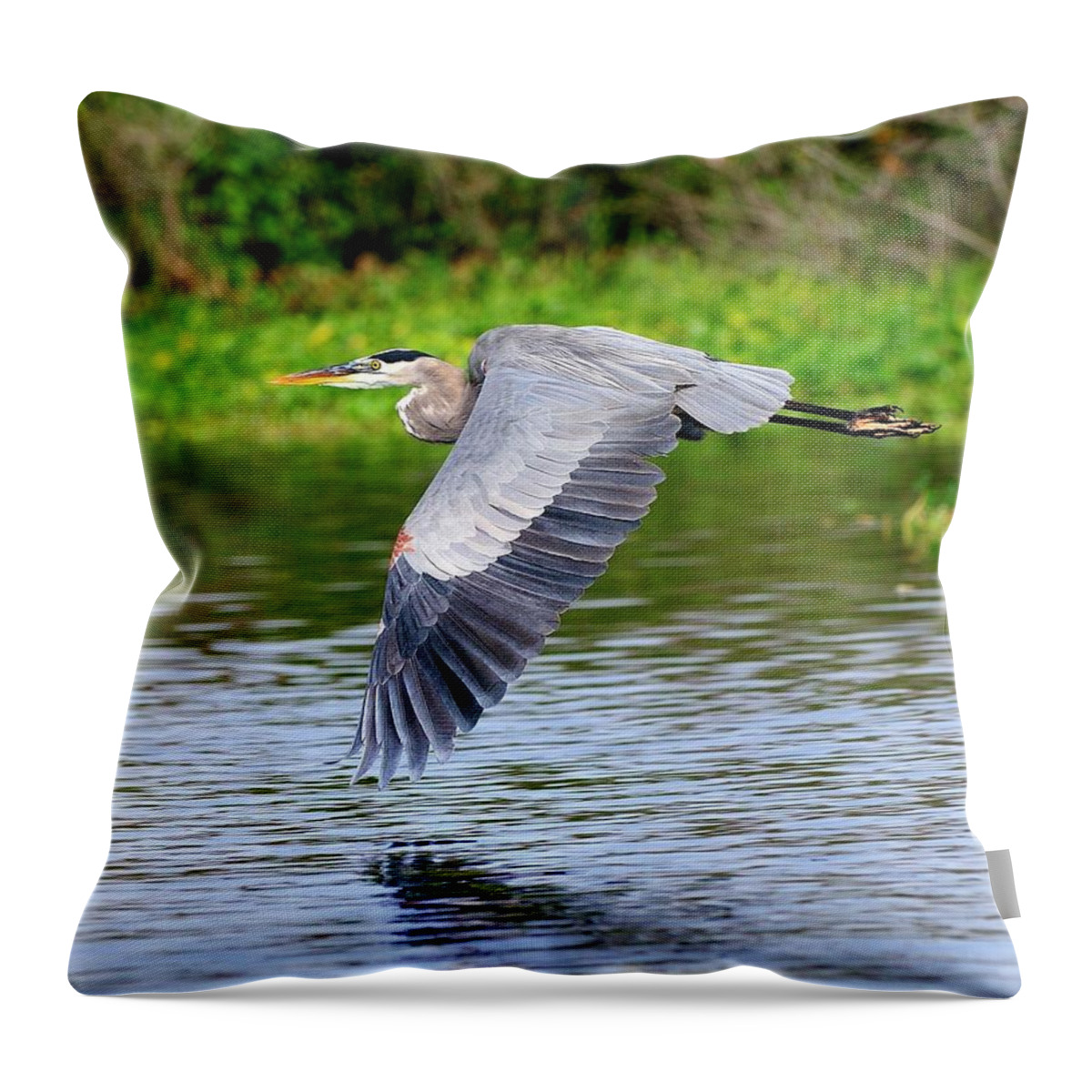 Great Throw Pillow featuring the photograph Great Blue Heron Inflight by Bill Dodsworth