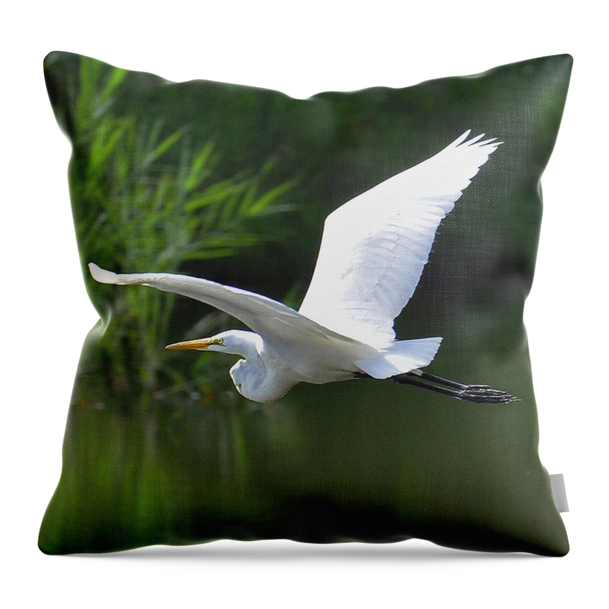 Great Egret Throw Pillow featuring the photograph Great Egret  by Rodney Campbell