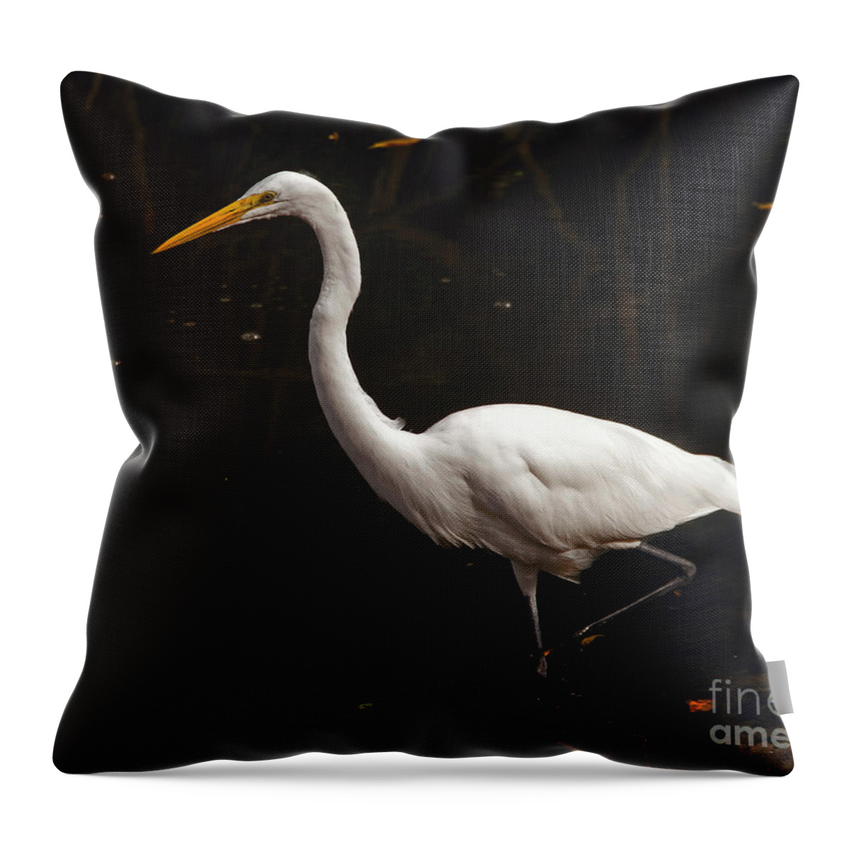 Egret Throw Pillow featuring the photograph Great Egret Hunting by Art Whitton