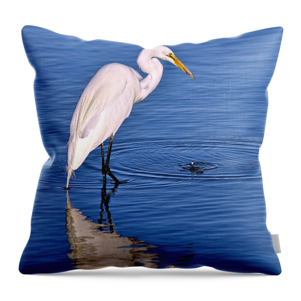 Bird Throw Pillow featuring the photograph Great Egret with shrimp by Maria Nesbit