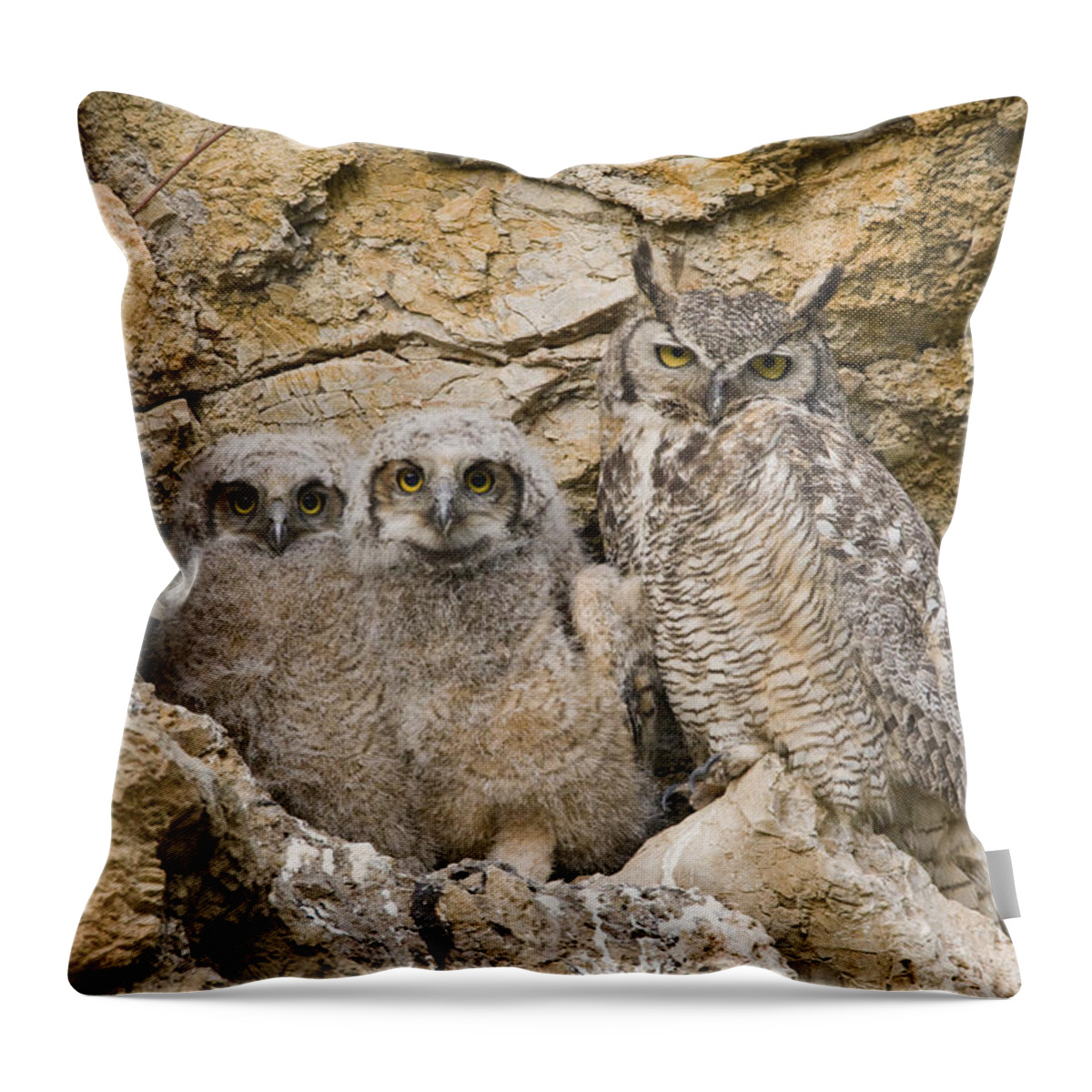 00439316 Throw Pillow featuring the photograph Great Horned Owl With Owlets In Nest by Sebastian Kennerknecht