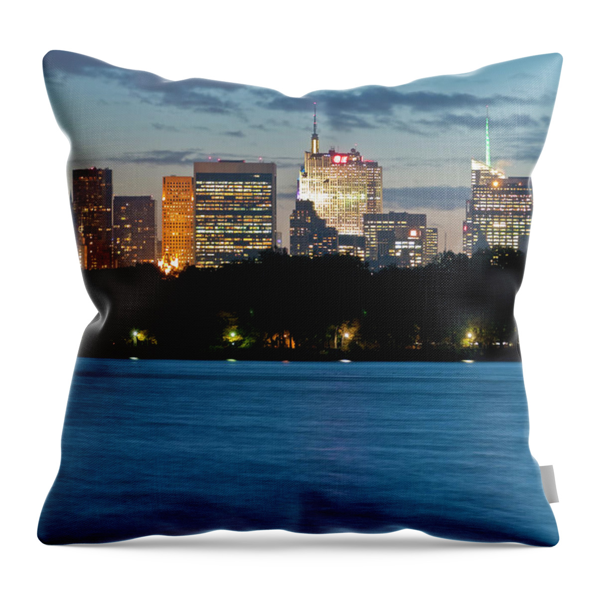 Nyc Throw Pillow featuring the photograph Great Pond Skyline by S Paul Sahm