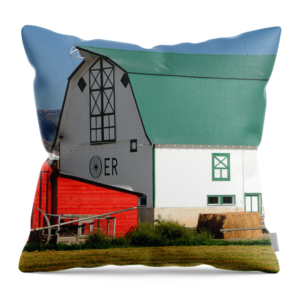 Green Throw Pillow featuring the photograph Green Barn in Southern Idaho by Gary Whitton