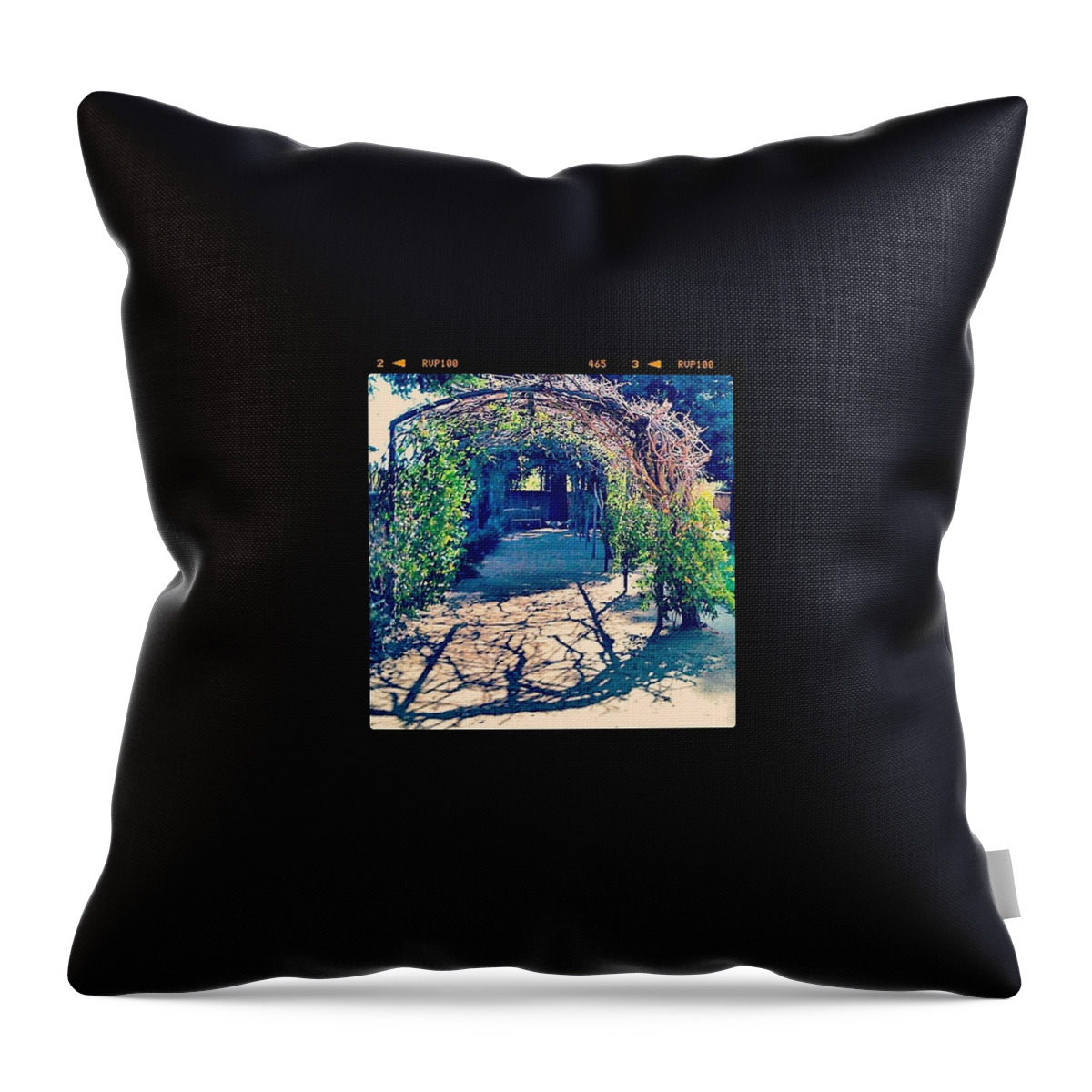 60likes Throw Pillow featuring the photograph #green #grape #arbor by Anna Porter
