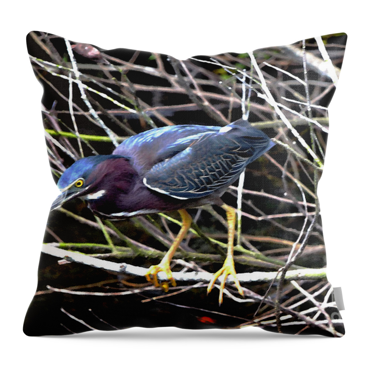 Green Heron Throw Pillow featuring the photograph Green Heron by Pravine Chester