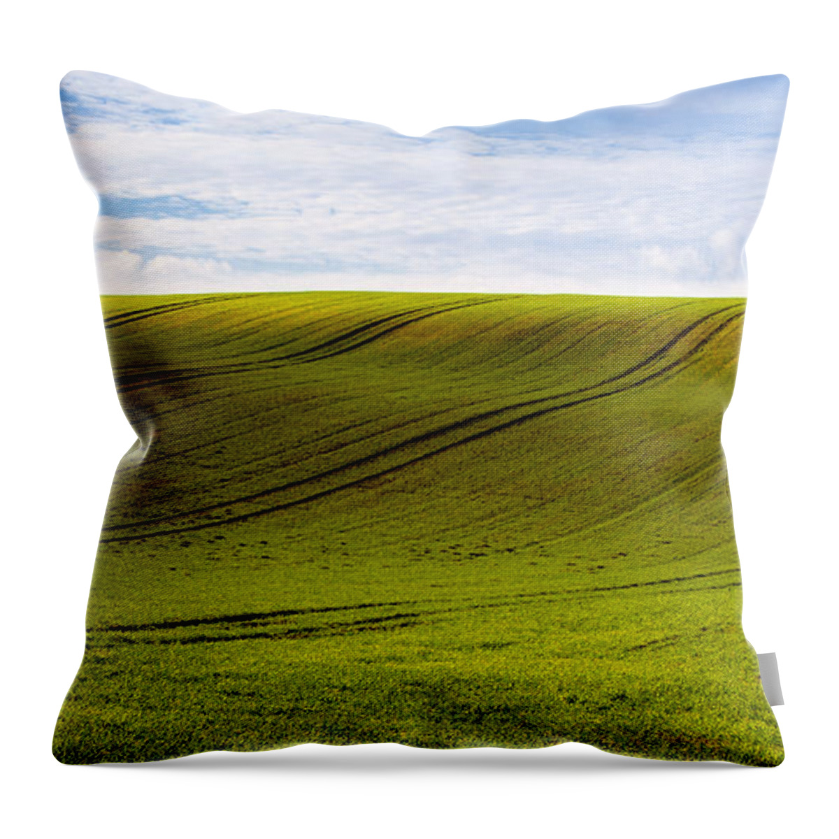 Bushes Throw Pillow featuring the photograph Green Hill by Svetlana Sewell
