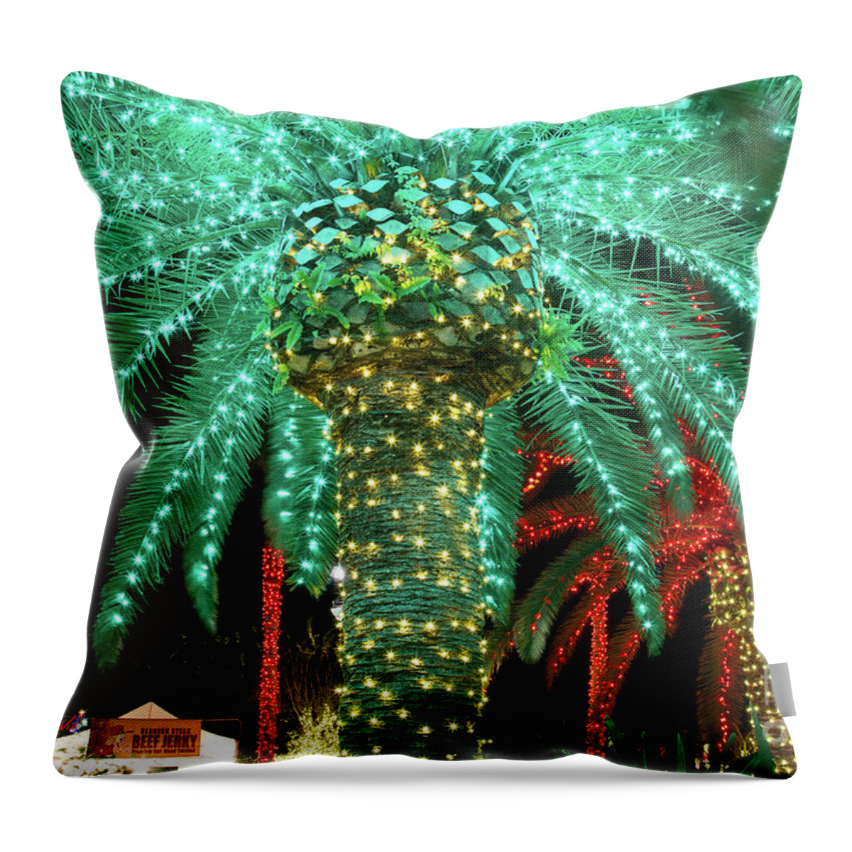 Botanical Garden Throw Pillow featuring the photograph Green Palms by Sue Karski