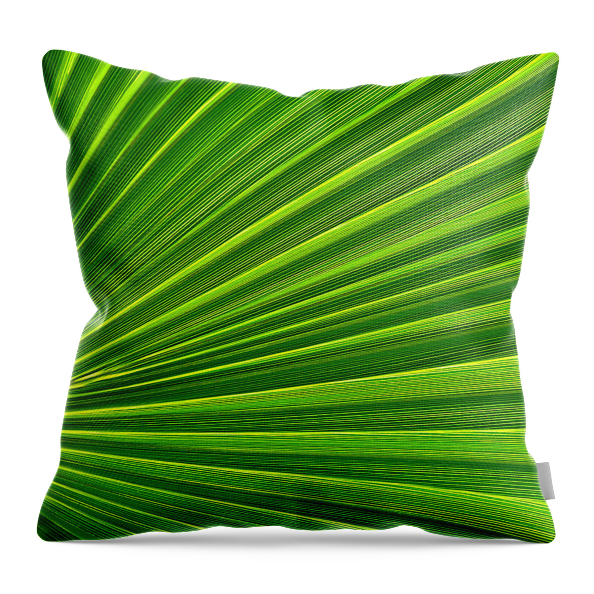Abstract Art Throw Pillow featuring the photograph Green Perspective by Steven Huszar