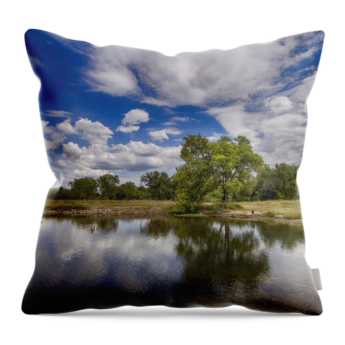 Trail Throw Pillow featuring the photograph Green Scene at Lake 15 by Bill and Linda Tiepelman