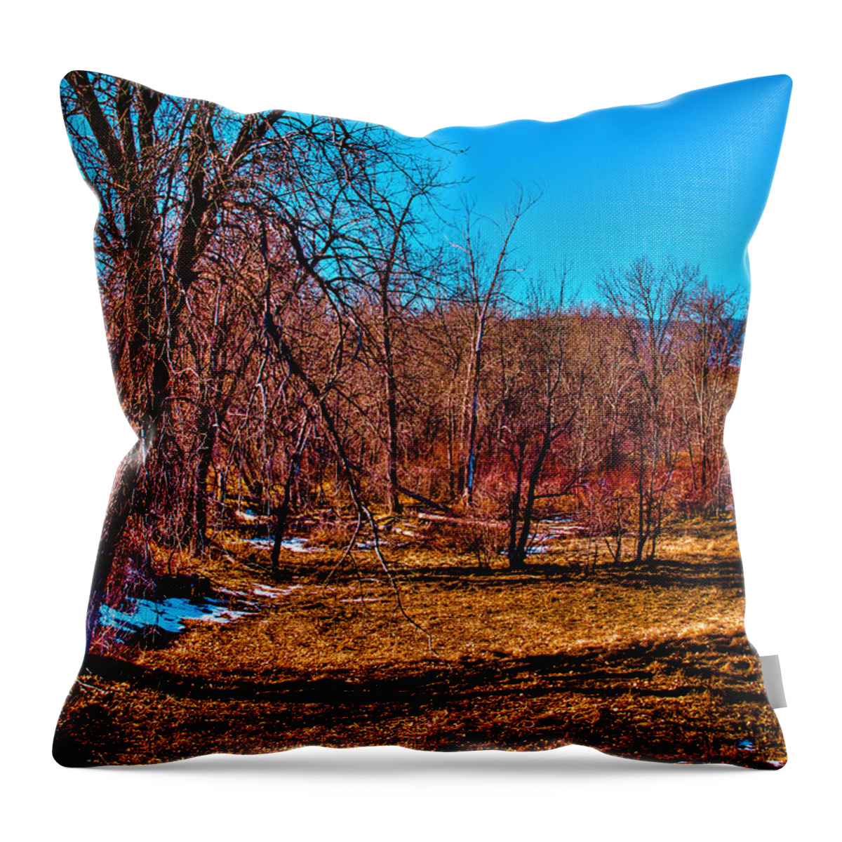 Denver Throw Pillow featuring the photograph Grove of Trees by David Patterson