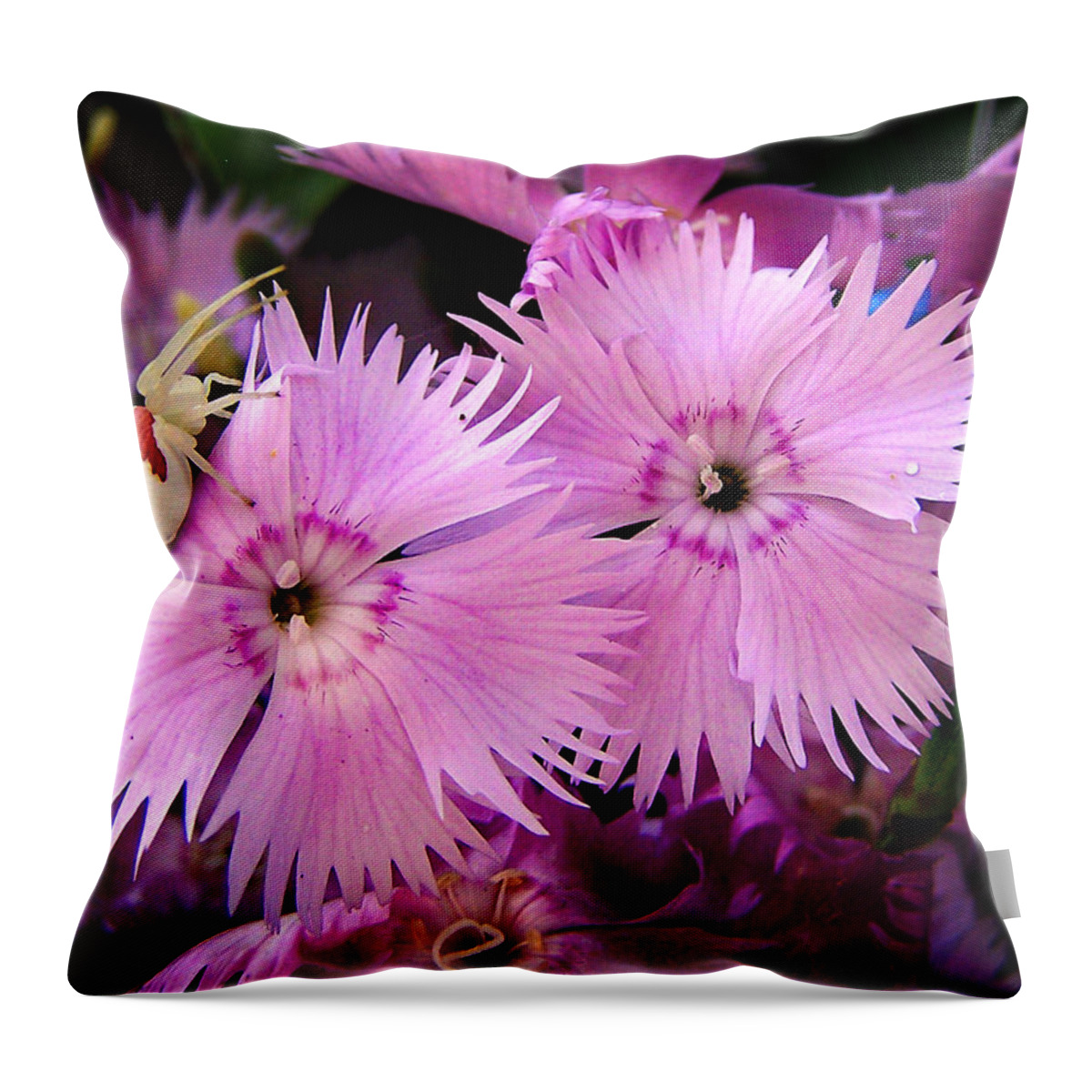 Flowers Throw Pillow featuring the photograph Guarding the Beauty by Bill Pevlor