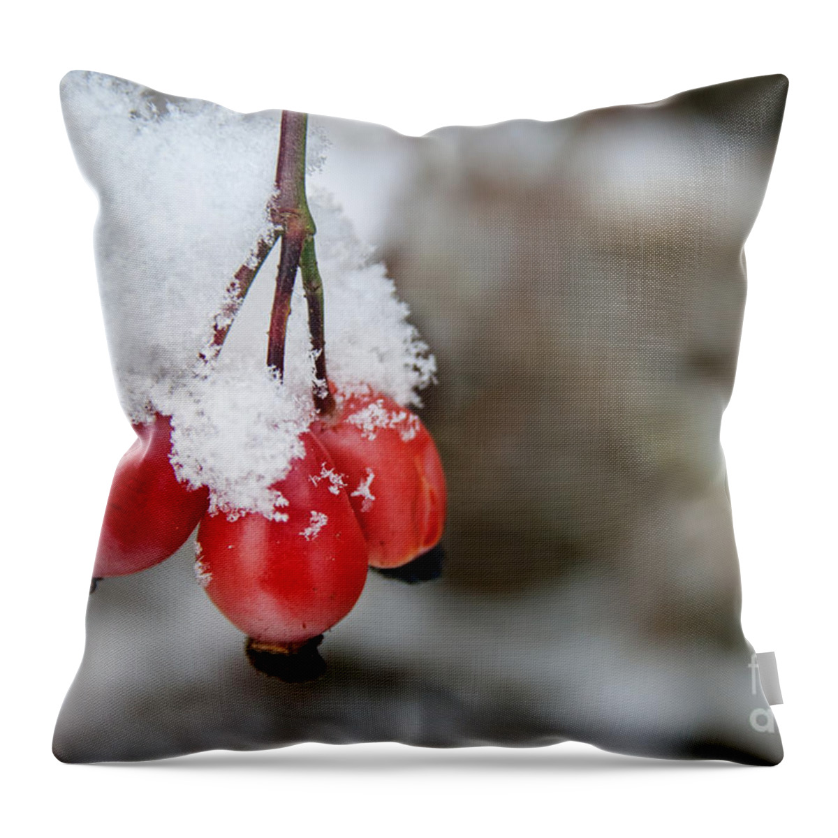 Red Berry Throw Pillow featuring the photograph Guelder Rose in the Snow by Ann Garrett