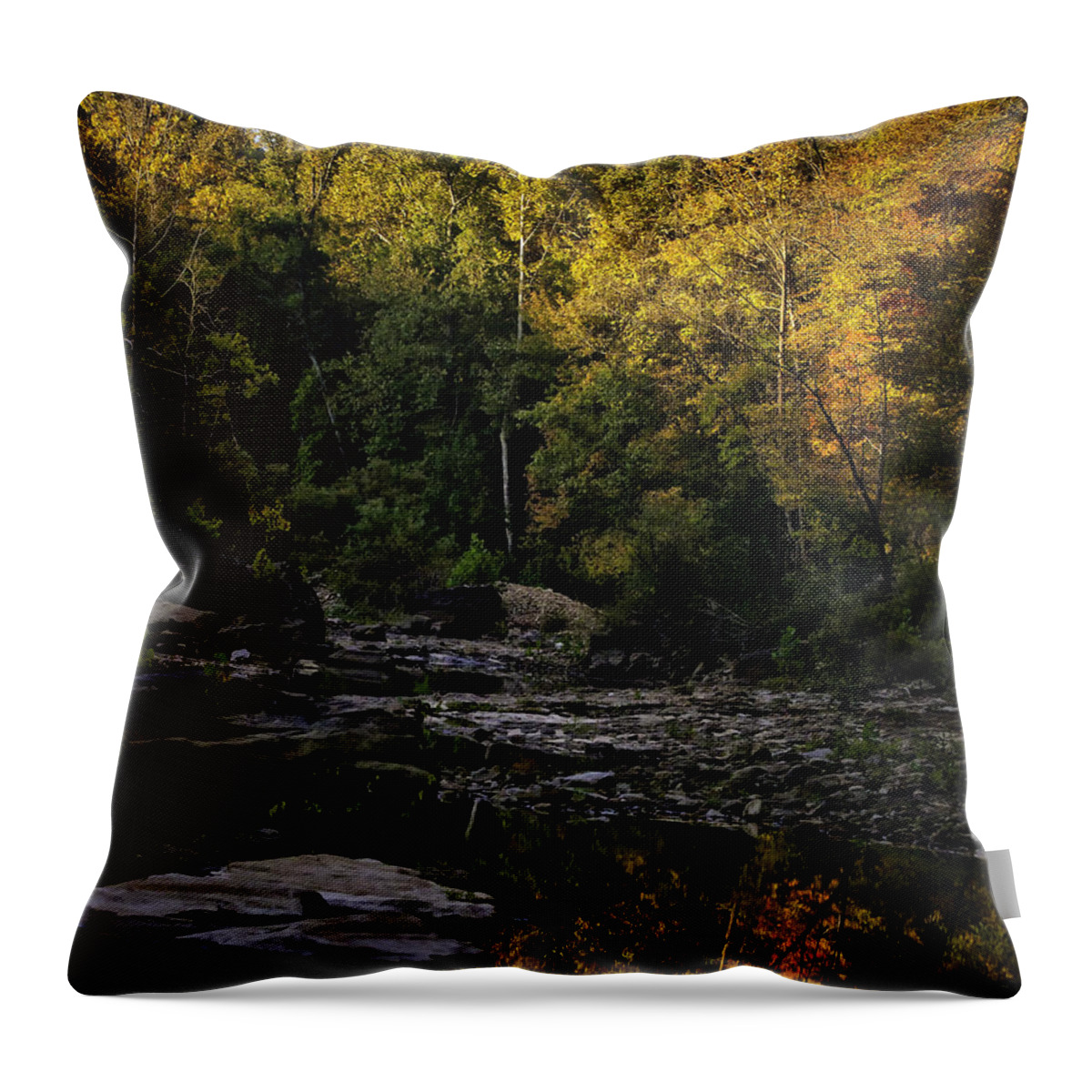 Fall Color Throw Pillow featuring the photograph Hailstone Sunrise 2 by Michael Dougherty