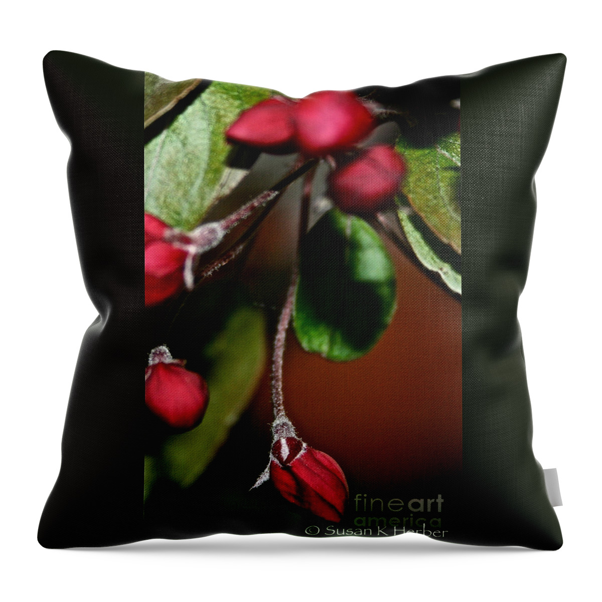  Plant Throw Pillow featuring the photograph Hanging By A Stem by Susan Herber