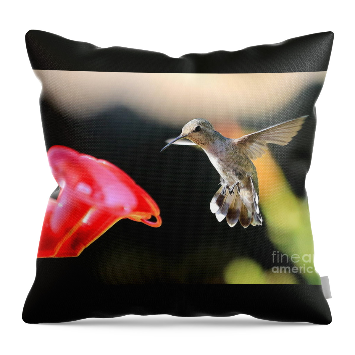 Happy Throw Pillow featuring the photograph Happy Hummingbird by Carol Groenen