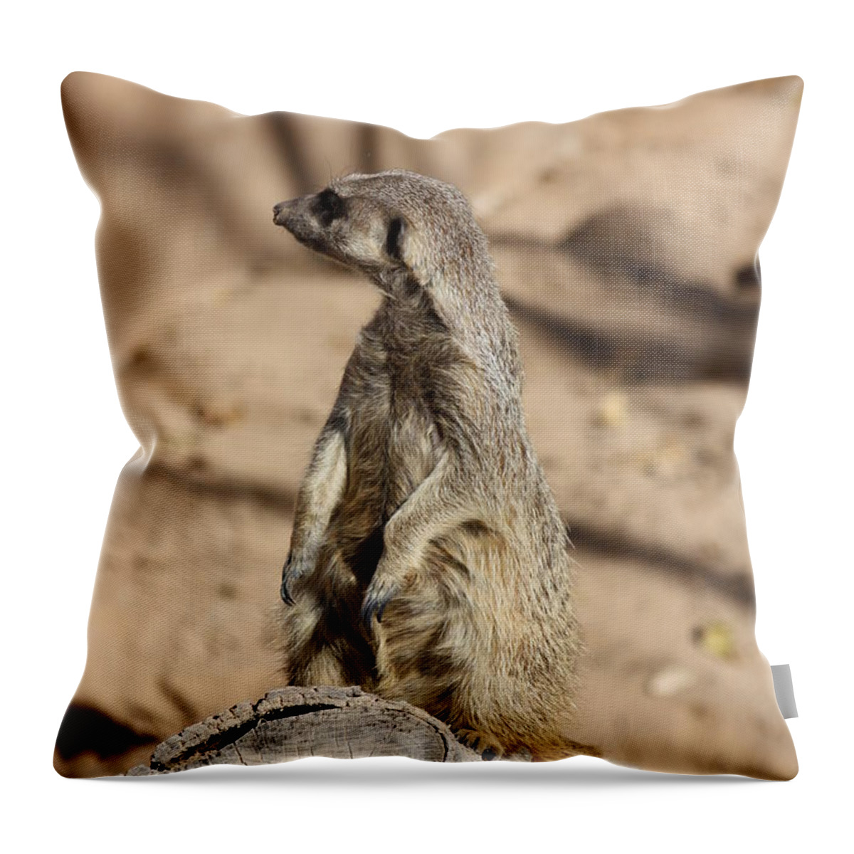 Meerkat Throw Pillow featuring the photograph He Went That Way by Kim Galluzzo