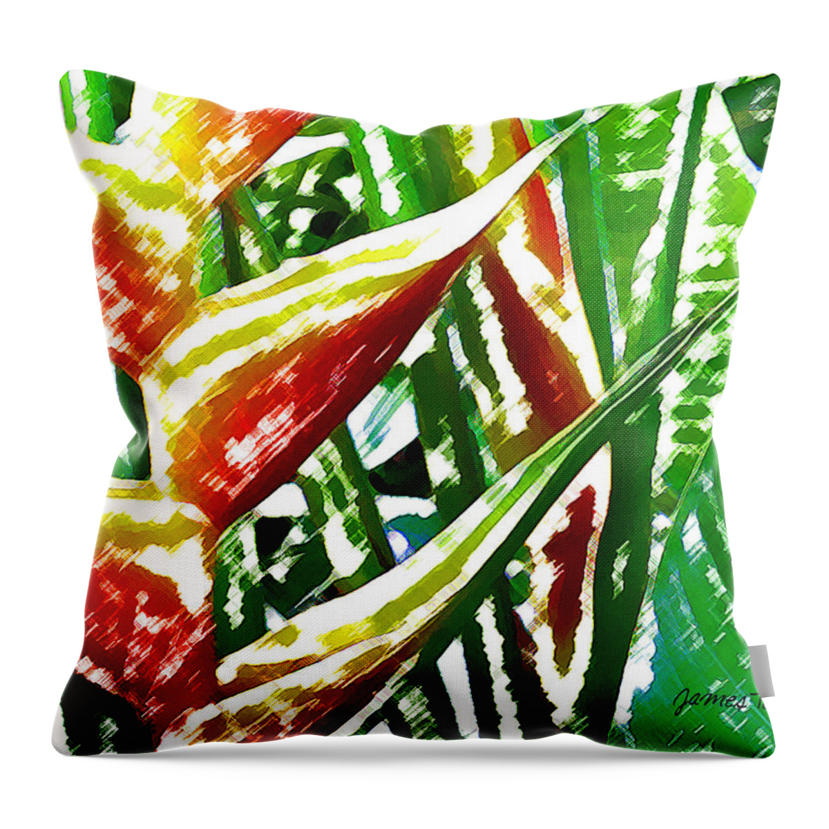 Tropical Flowers Throw Pillow featuring the digital art Heliconia by James Temple