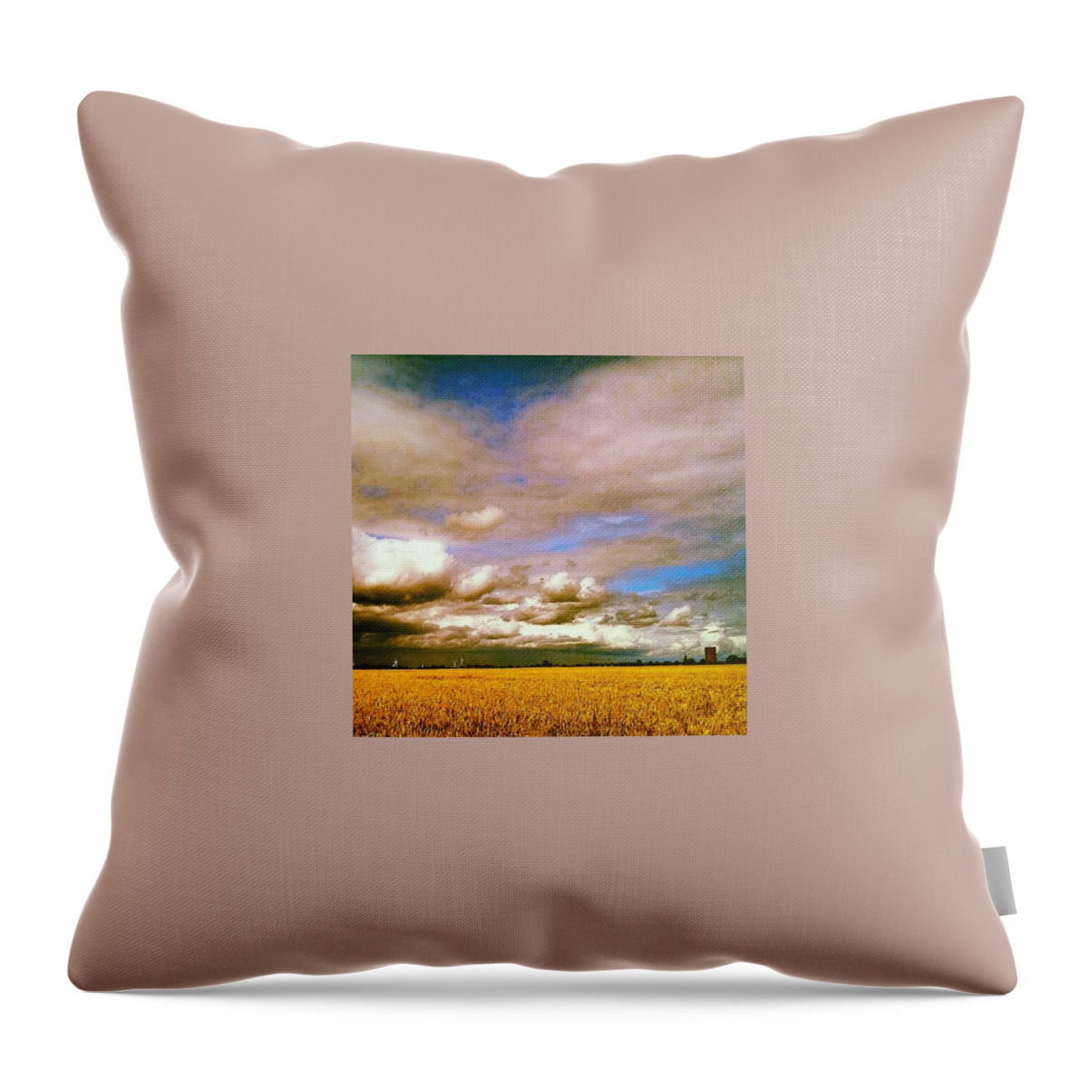 Summer Throw Pillow featuring the photograph Here Comes The Rain Again by Vicki Field