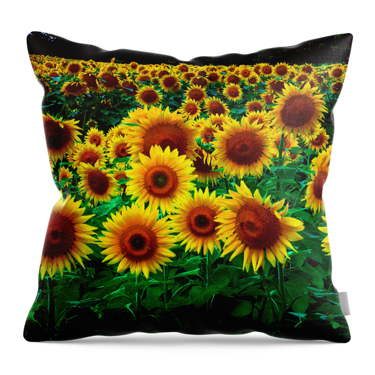 Flowers Throw Pillow featuring the digital art Here Comes the Sun by Richard Ortolano