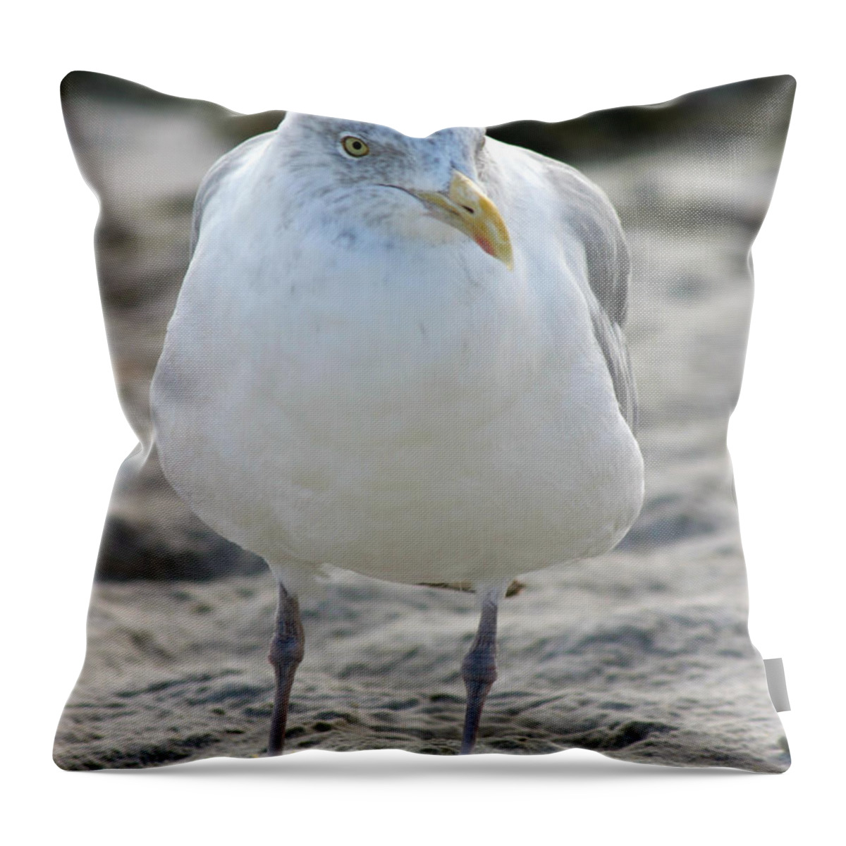 Seagull Throw Pillow featuring the photograph Hey Baby You Married by Michelle Constantine
