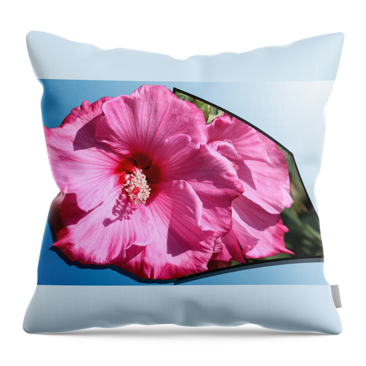 Hibiscus Throw Pillow featuring the photograph Hibiscus by Shane Bechler