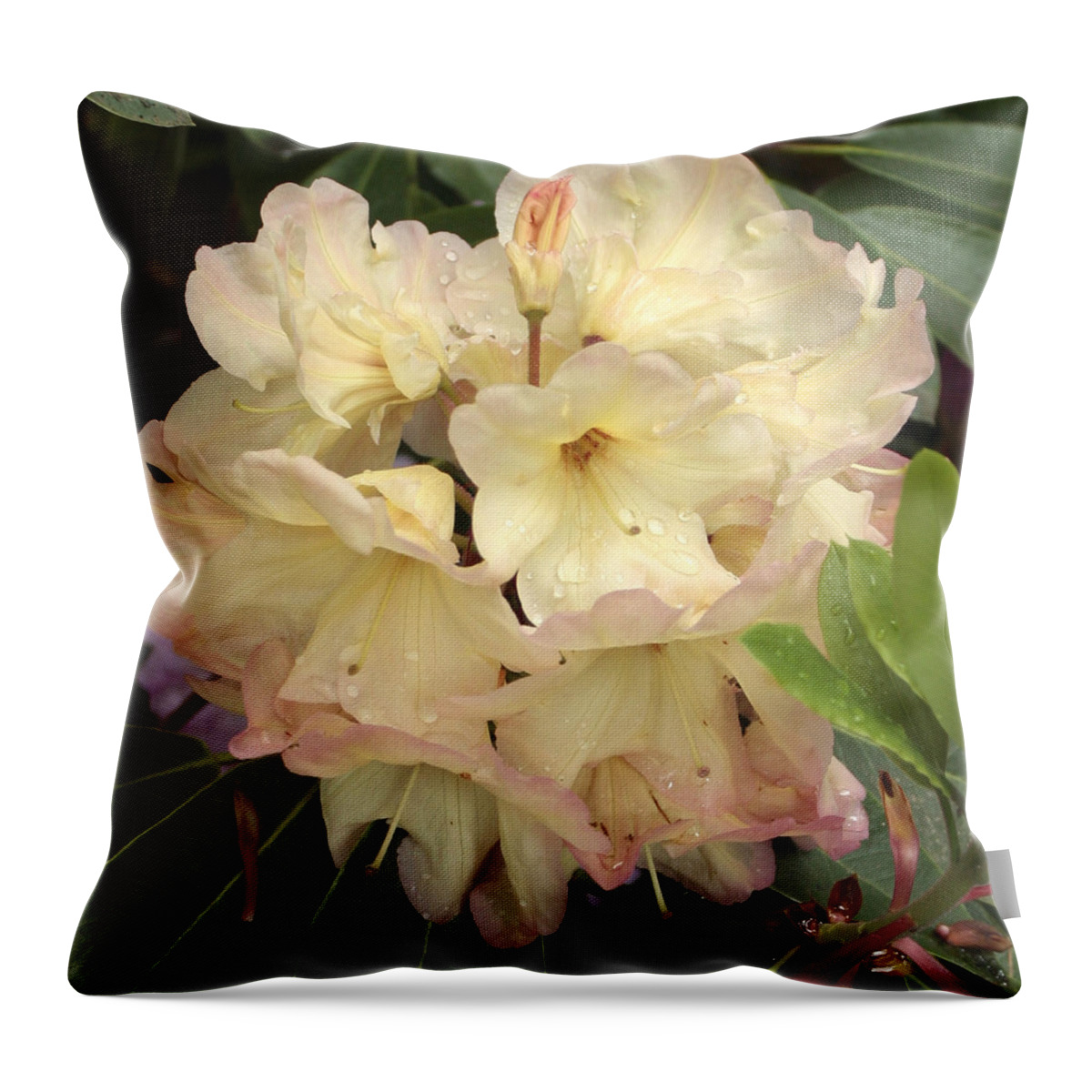 Rhododendron Throw Pillow featuring the photograph Hjalmar L. Larson by Chris Anderson