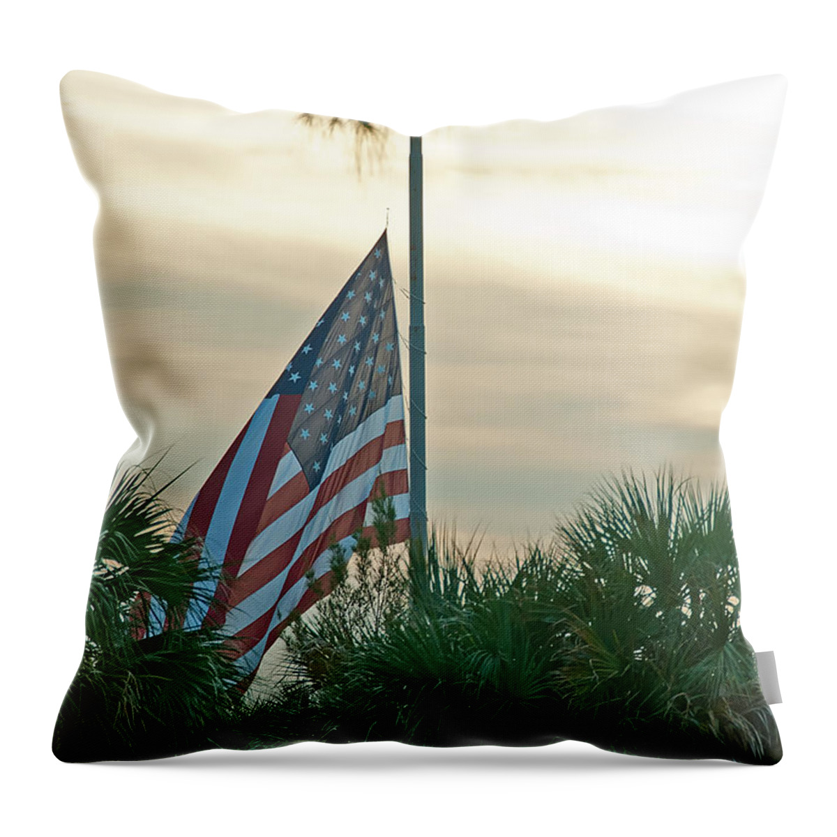 Flag Throw Pillow featuring the photograph Honoring A Hero by John Black