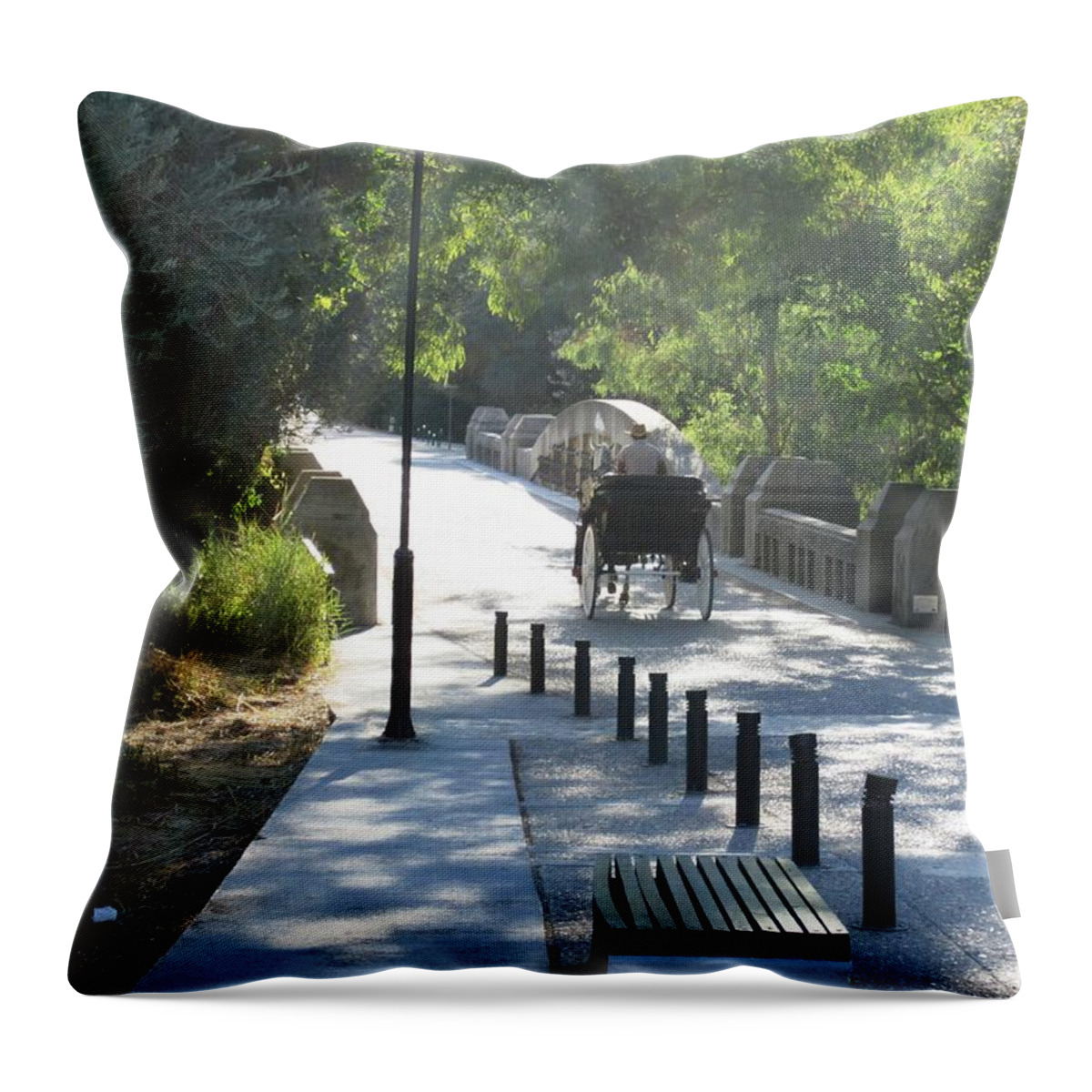 Olympia Throw Pillow featuring the photograph Horse and Carriage on the Pathway Entrance to Olympia Archaeological Site in Greece by John Shiron
