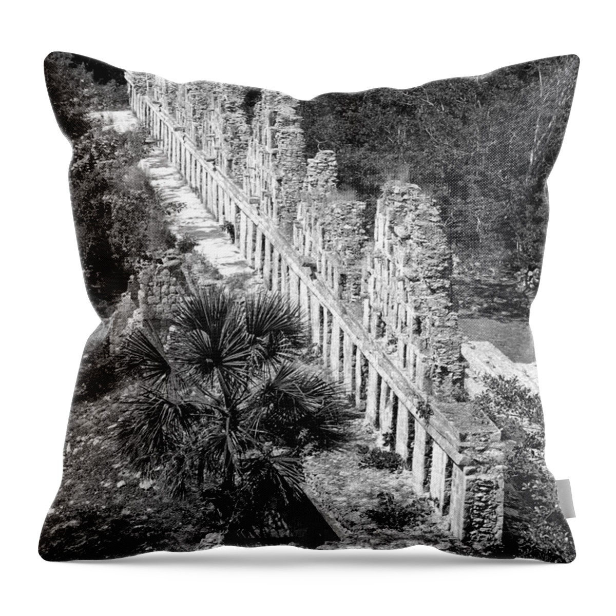 Uxmal Throw Pillow featuring the photograph House of the Doves at Uxmal Mexico Black and White by Shawn O'Brien