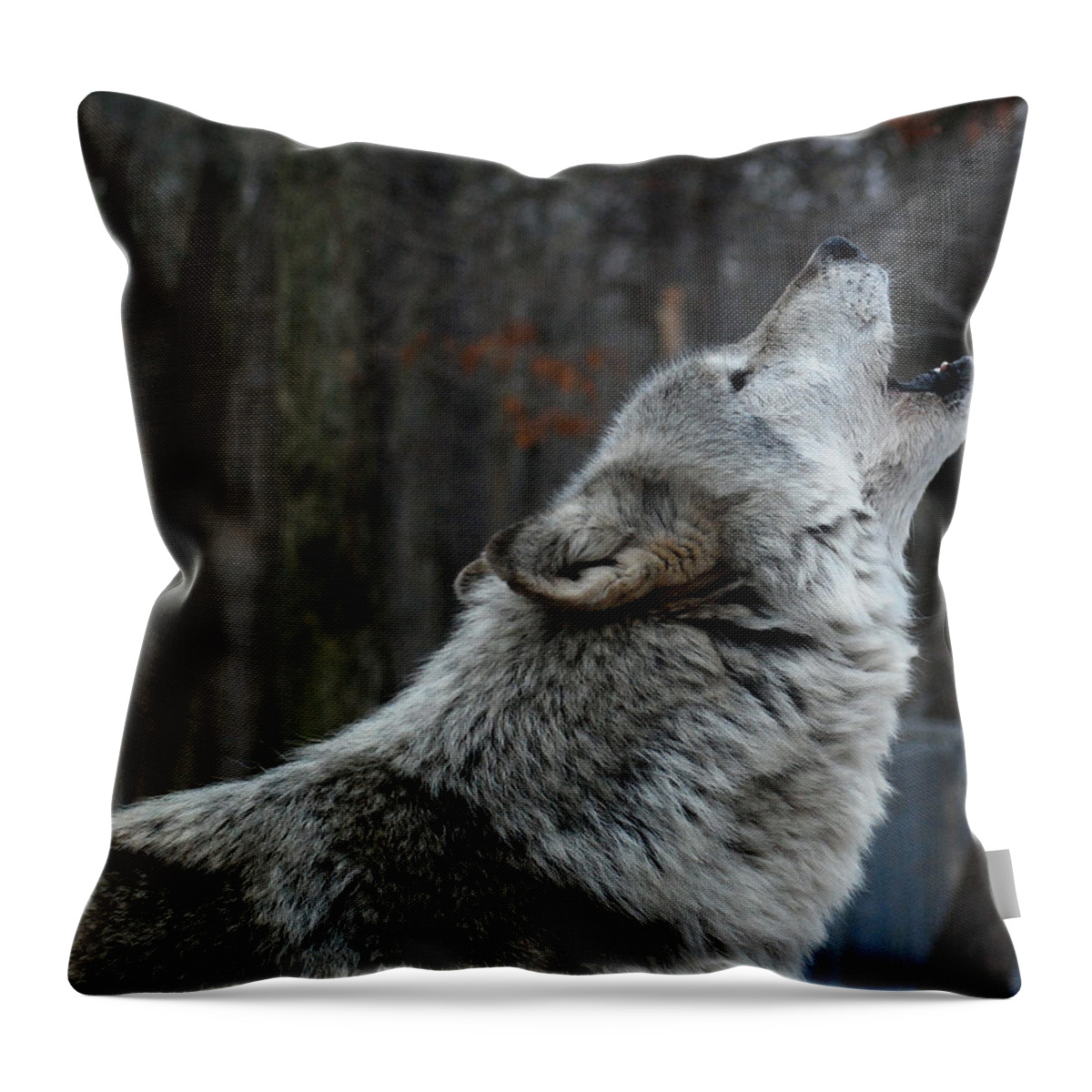 Lakota Throw Pillow featuring the photograph Howling Tundra Wolf by Richard Bryce and Family