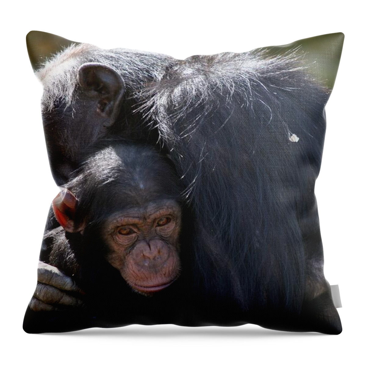 Hug Throw Pillow featuring the photograph Gorillas Embrace - Hugs Heal by Ian McAdie