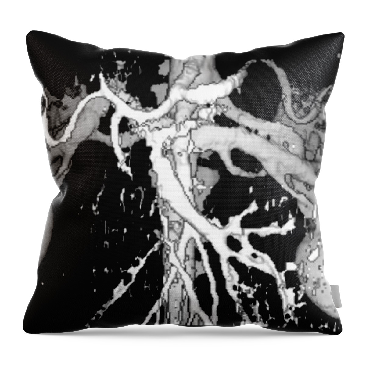 Medical Throw Pillow featuring the photograph Human Kidneys by Ted Kinsman