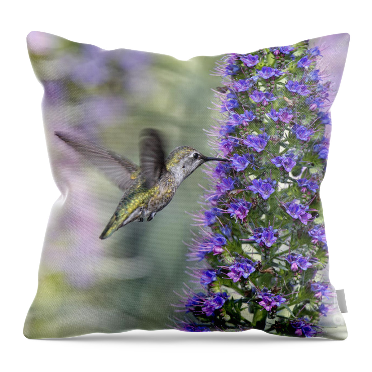 Humming Bird Throw Pillow featuring the photograph Hummingbird and Bee by Susan Gary